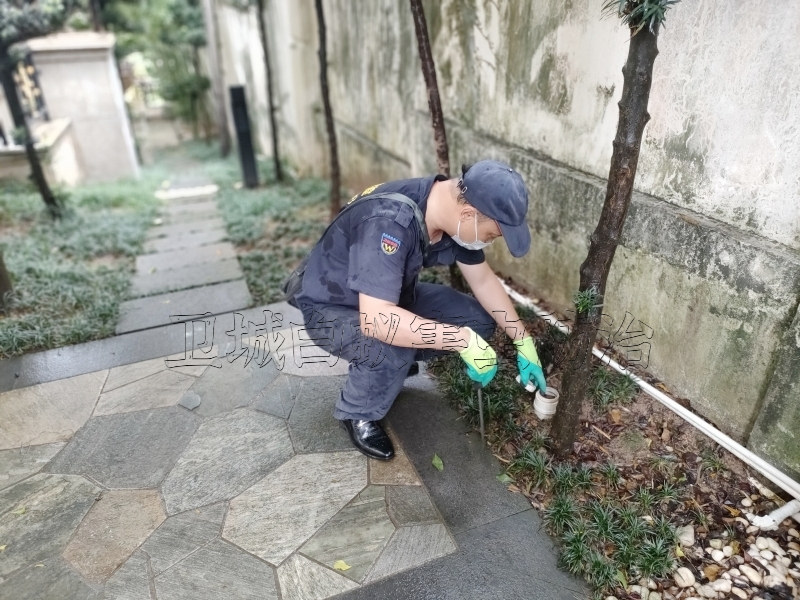 从化吕田白蚁防治,吕田灭白蚁公司,广州从化吕田清除白蚂蚁机构