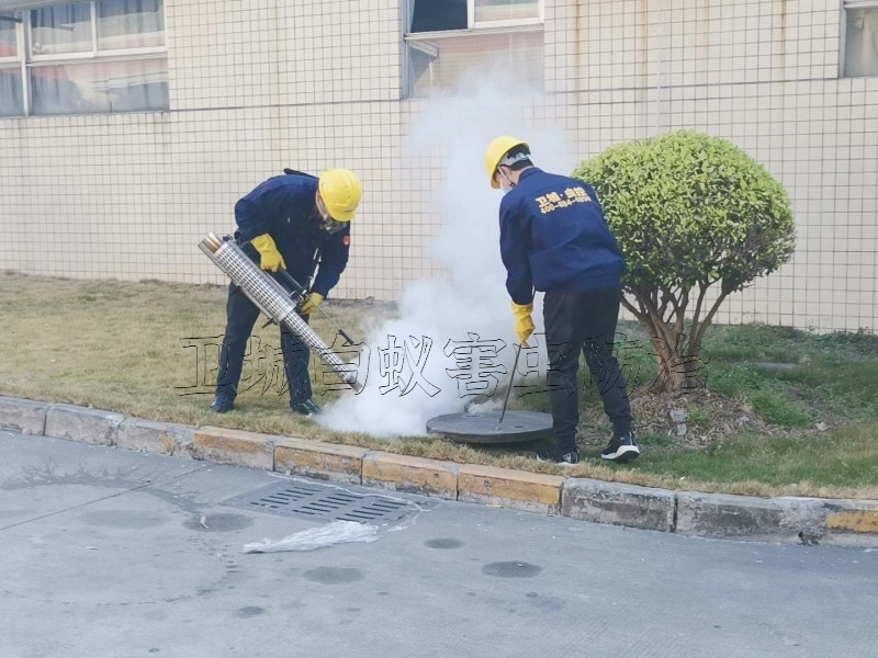 惠州惠阳杀臭虫公司_宿舍灭臭虫跳蚤_上门惠阳臭虫防治施工